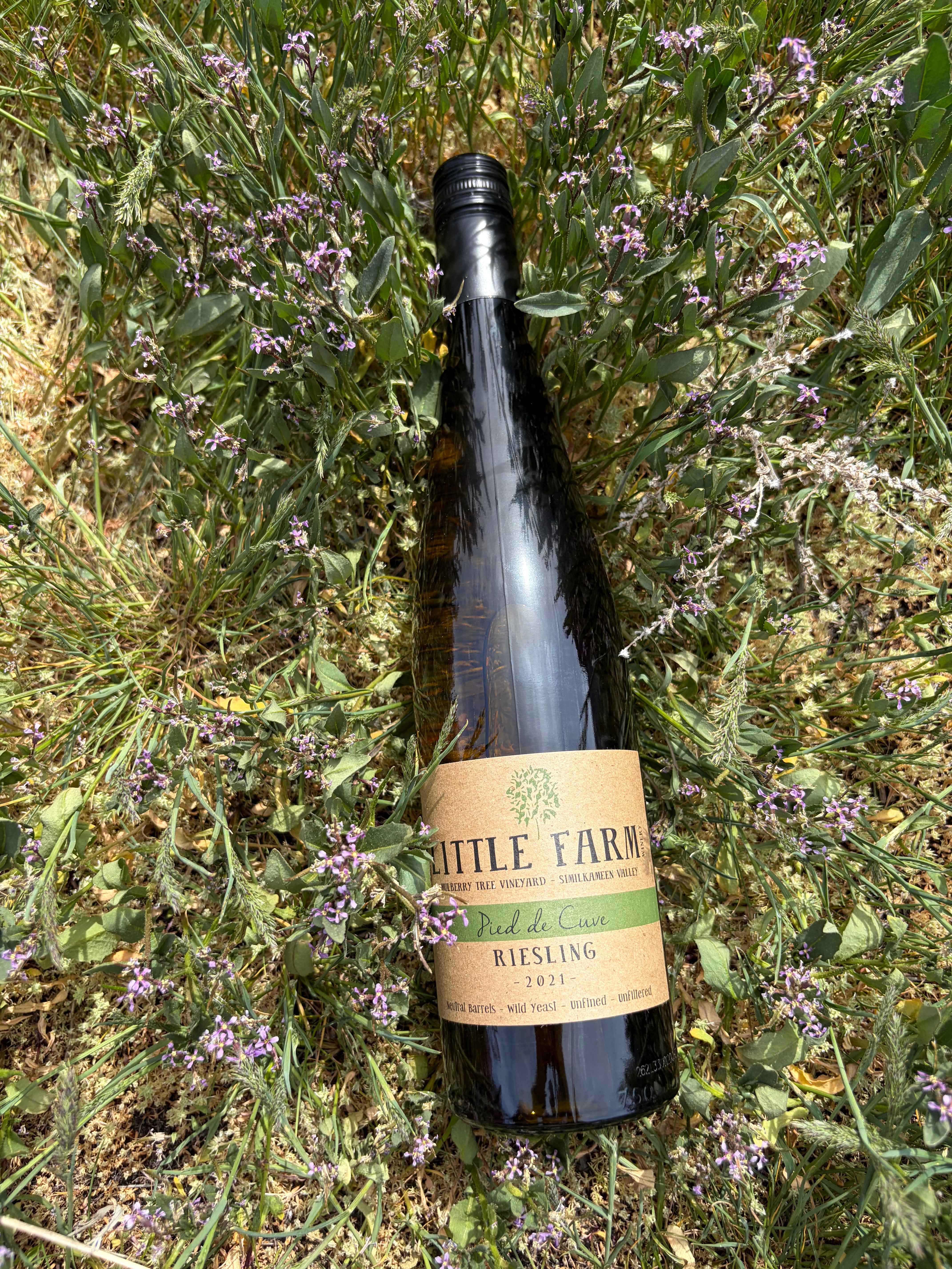 2021 Pied de Cuve Riesling - Little Farm - complex, dry & mineral ...