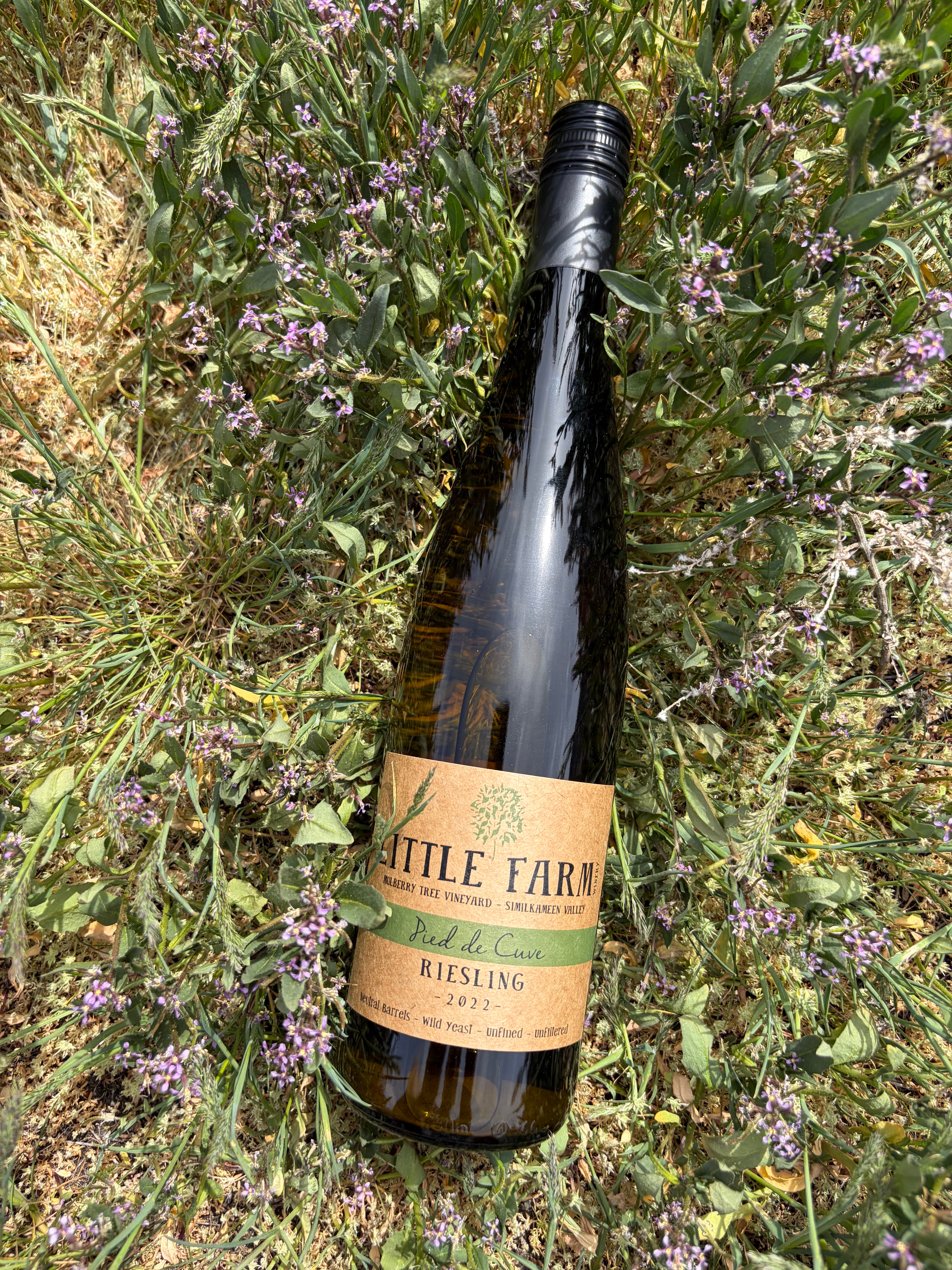 2022 Pied de Cuve Riesling - Little Farm Winery