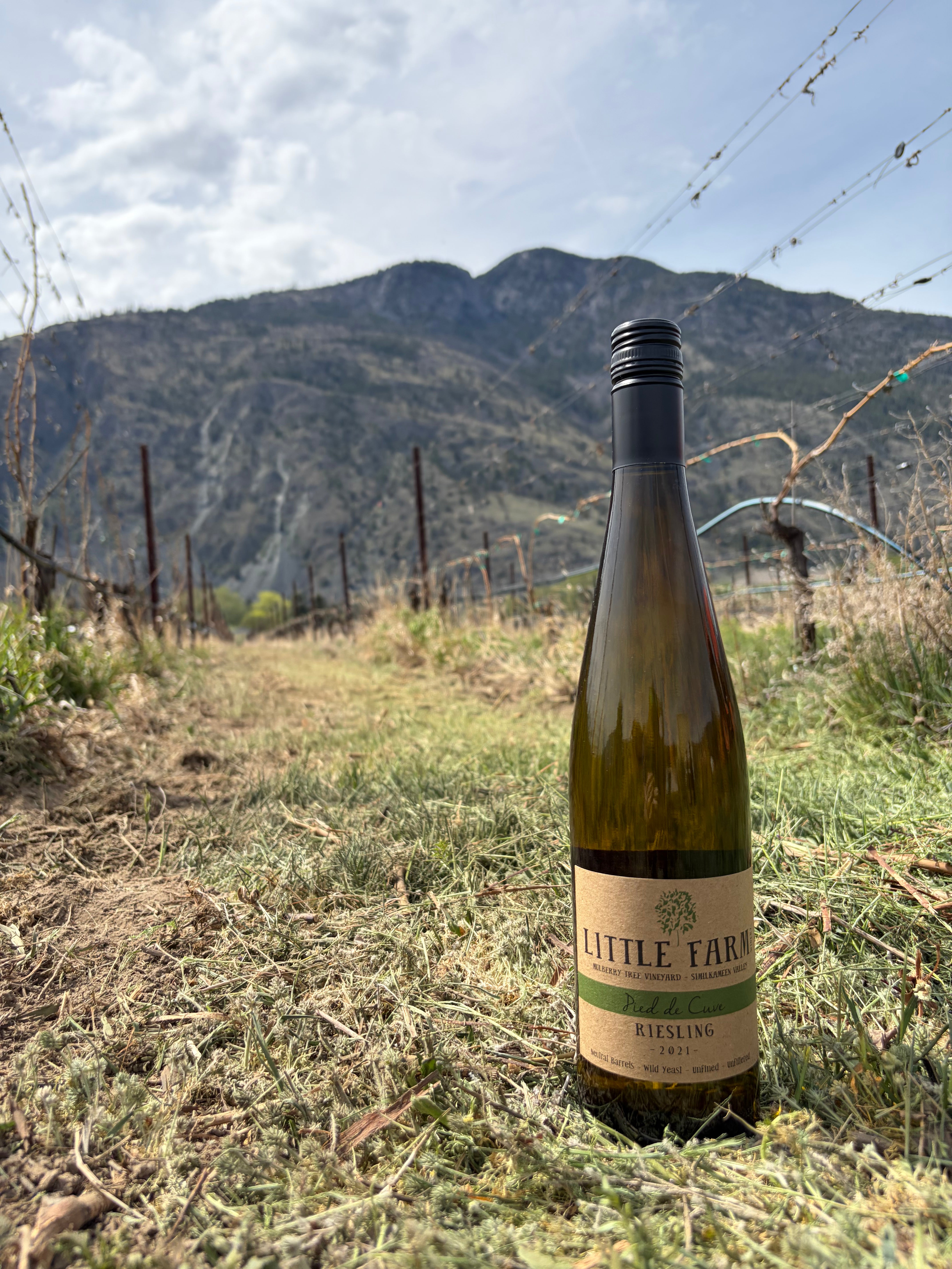 2021 Pied de Cuve Riesling - Little Farm - complex, dry & mineral ...