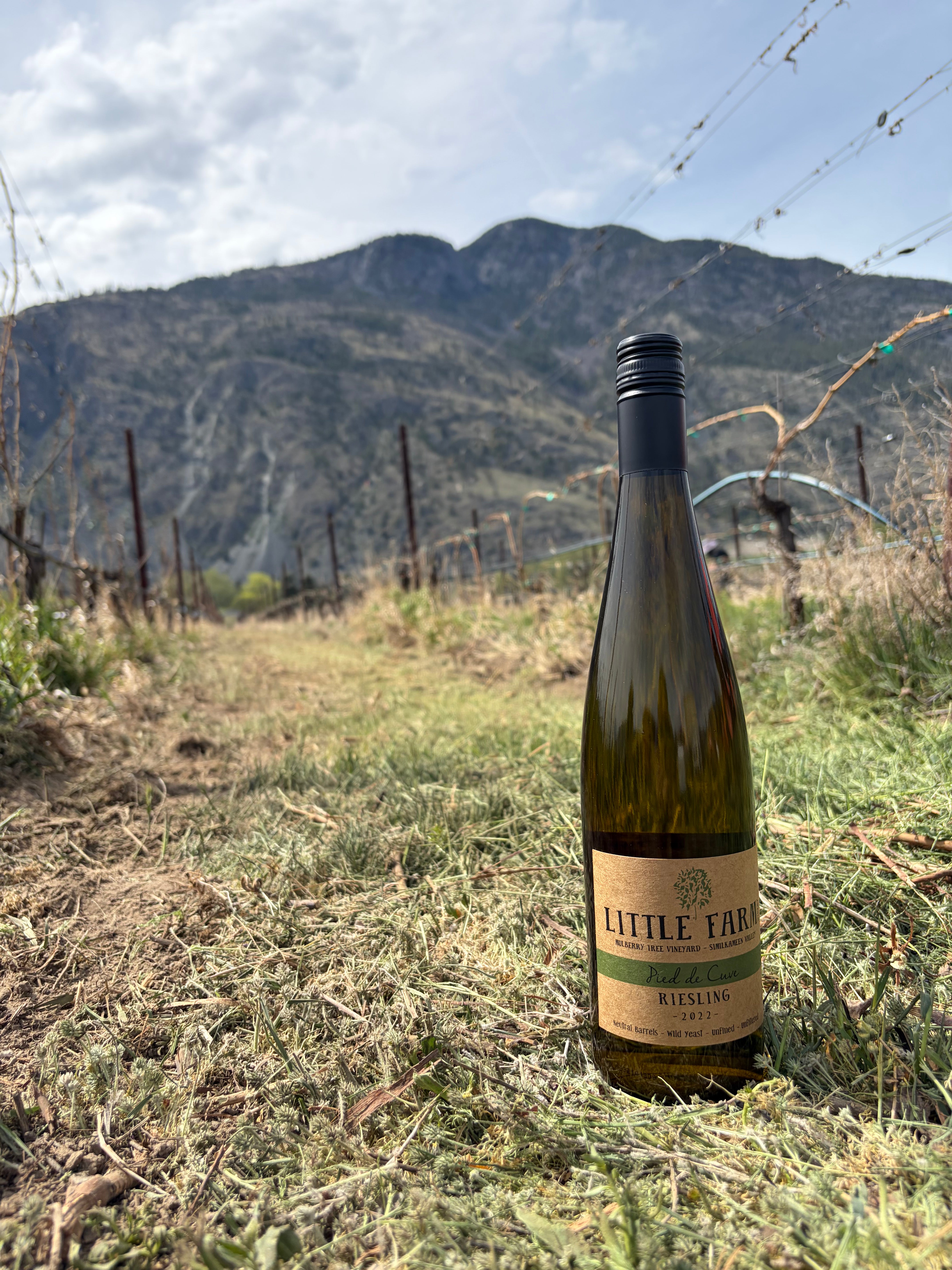 2022 Pied de Cuve Riesling - Little Farm Winery